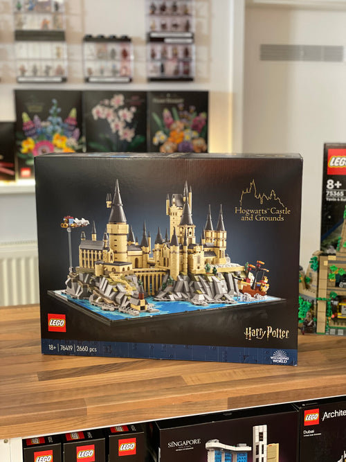 LEGO® 76419 Harry Potter  Schloss Hogwarts™ mit Schlossgelände