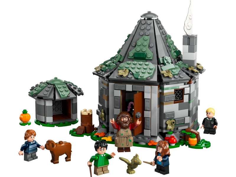 LEGO® 76428 Harry Potter  Hagrids Hütte: Ein unerwarteter Besuch