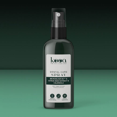 kooa Zahnpflegespray