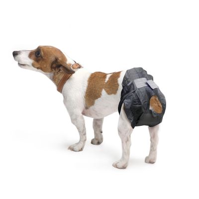 Savic Hundewindel Comfort Nappy