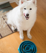 Outward Hound® Fun Feeder Slo Bowl